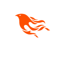 Phoenix 1