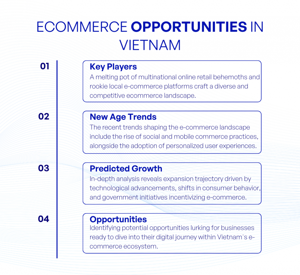 Ecommerce Opportunities in Vietnam kvytech