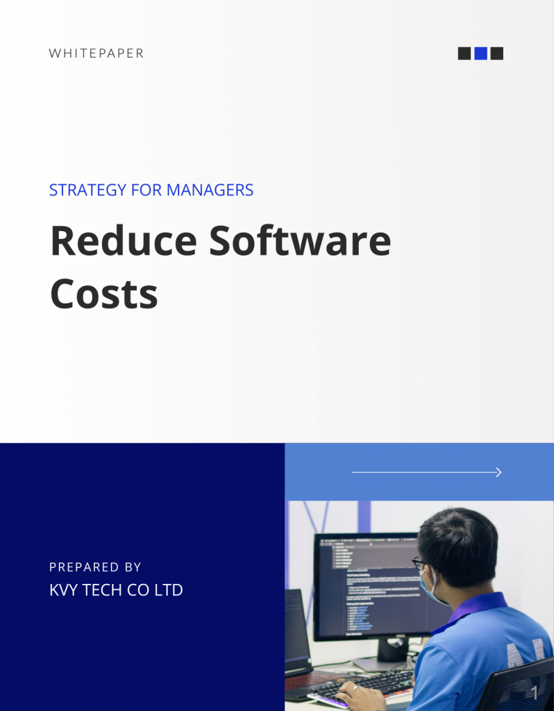 Strategy for managers: Reduce Software Costs 1