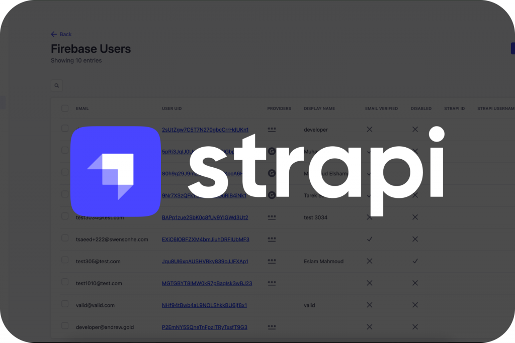 65c3dbe2487ebf24f3b9f6bc strapi partner
