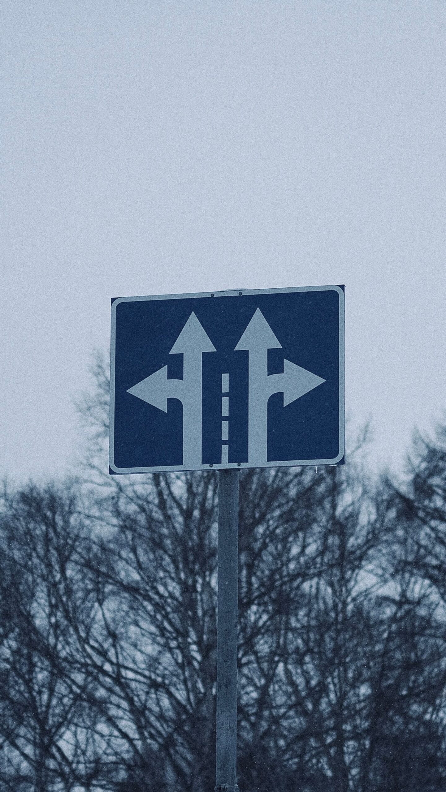 Medusa.js vs Shopify marketplace decision, choosing between two extension paths