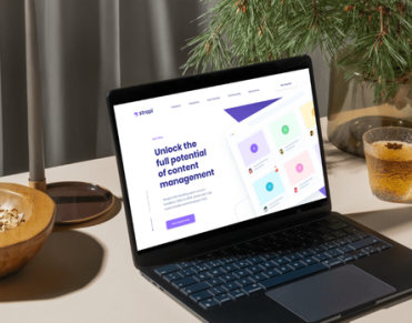 Case Studies of Custom Development Projects with Strapi